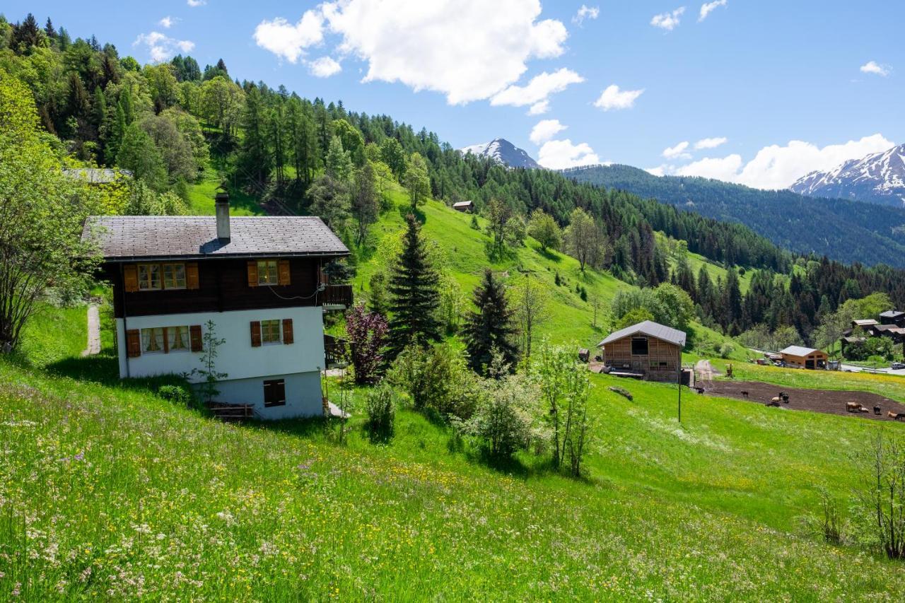 Chalet Orion Bellwald Εξωτερικό φωτογραφία