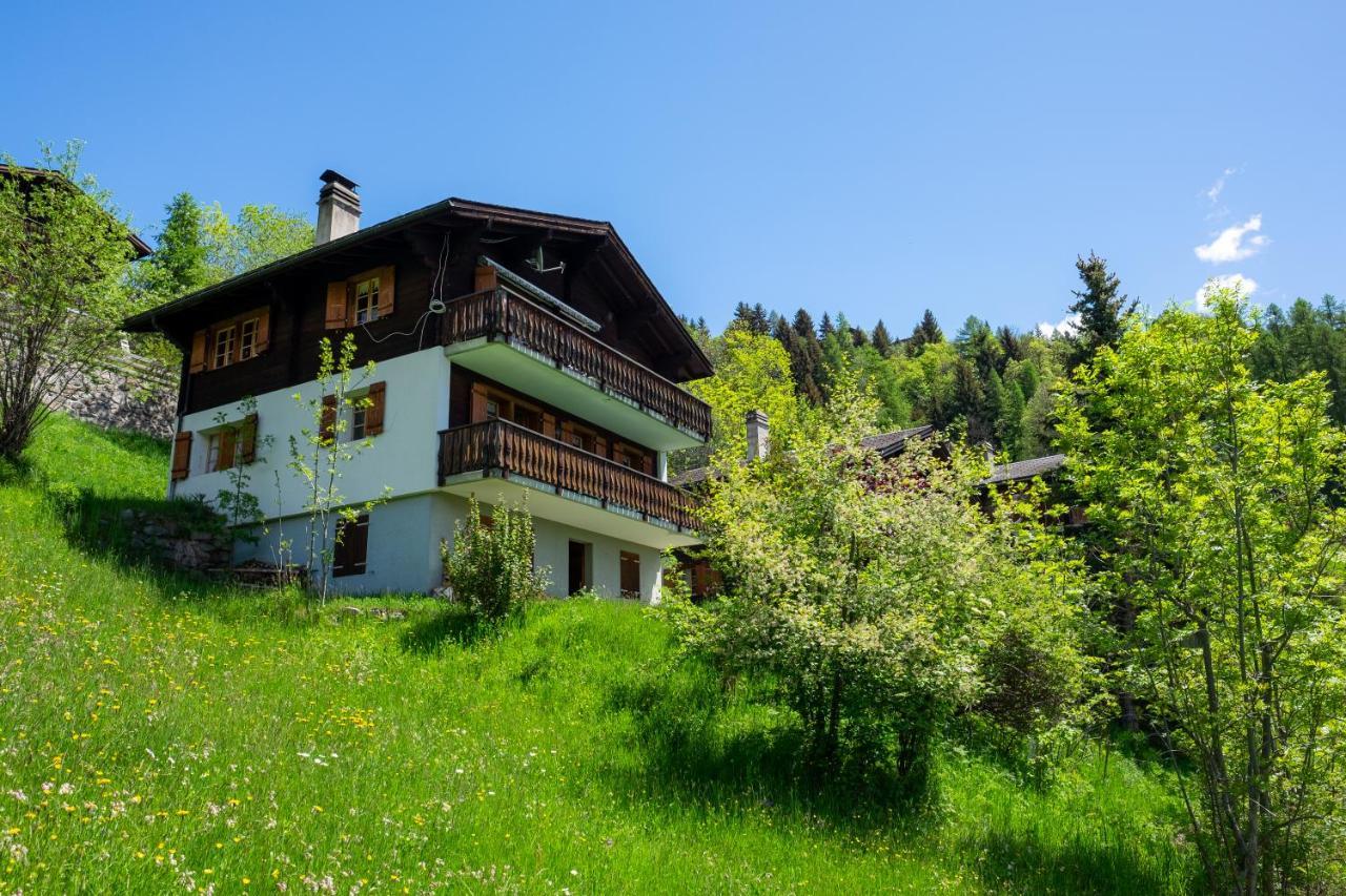 Chalet Orion Bellwald Εξωτερικό φωτογραφία